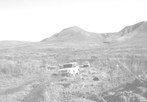 Flower Power 4x4 se dankie